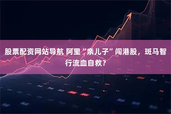 股票配资网站导航 阿里“亲儿子”闯港股，斑马智行流血自救？