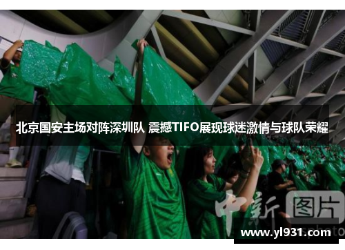 北京国安主场对阵深圳队 震撼TIFO展现球迷激情与球队荣耀